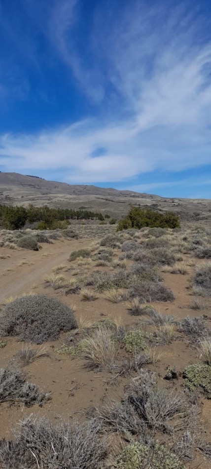 Lote de 6000 mts en Loteo Lago Huechulafquen con frente al Rio Chimehuin, Junin de los Andes, Neuquen