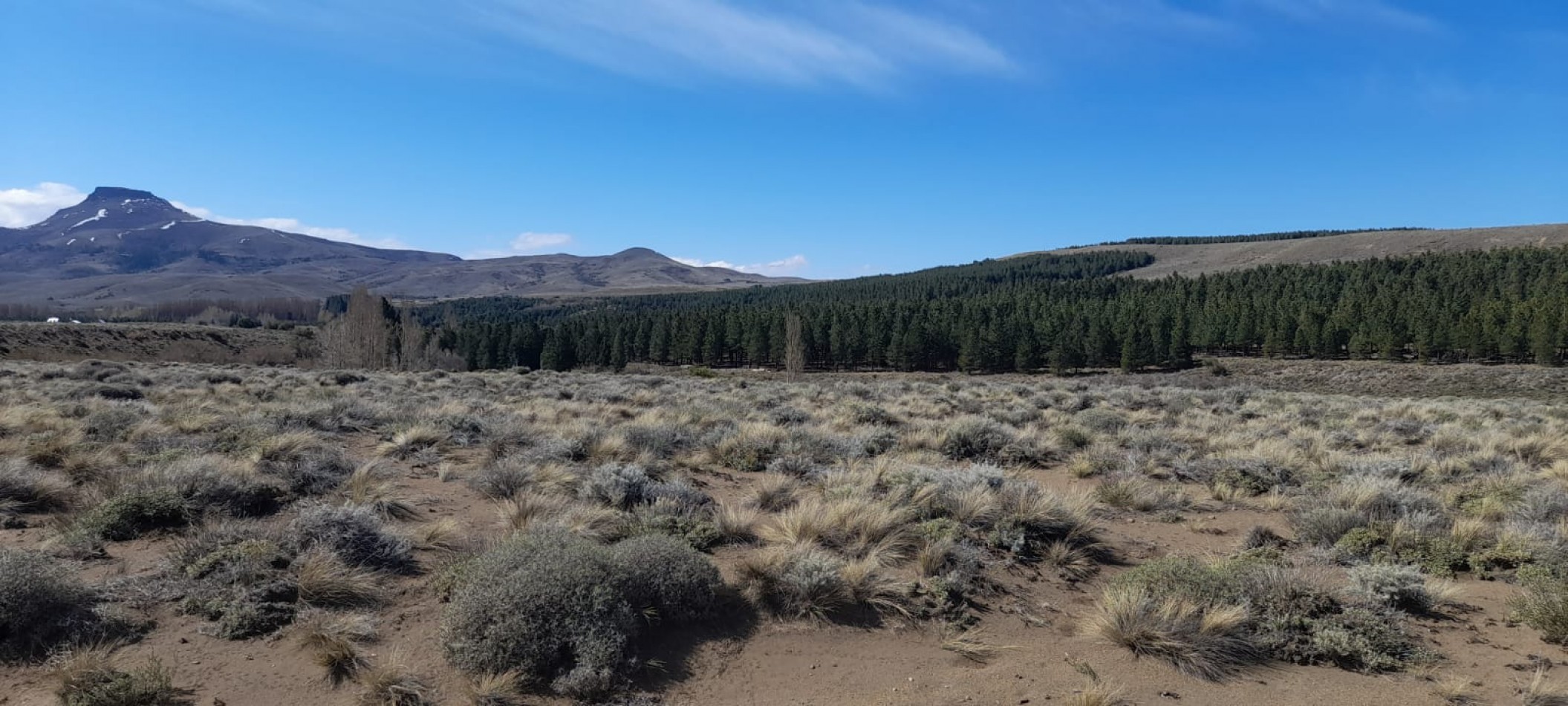 Lote de 6000 mts en Loteo Lago Huechulafquen con frente al Rio Chimehuin, Junin de los Andes, Neuquen