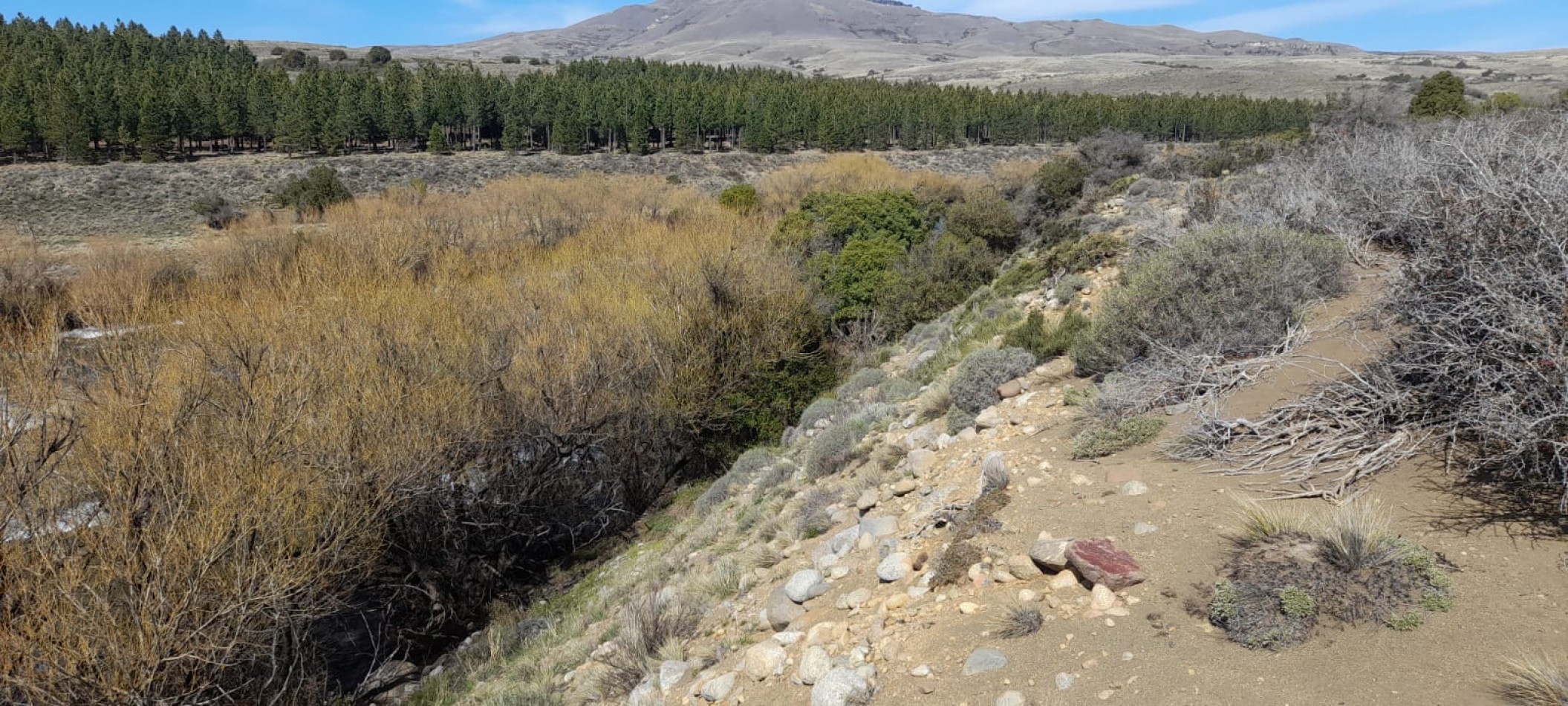 Lote de 6000 mts en Loteo Lago Huechulafquen con frente al Rio Chimehuin, Junin de los Andes, Neuquen