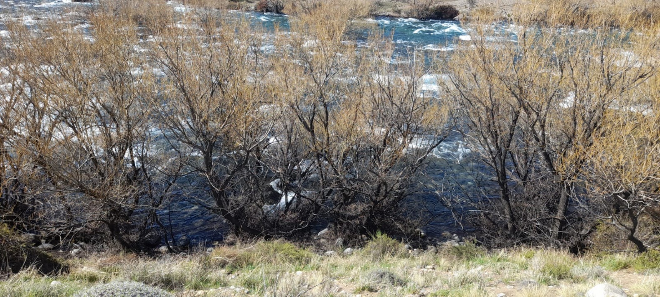 Lote de 6000 mts en Loteo Lago Huechulafquen con frente al Rio Chimehuin, Junin de los Andes, Neuquen