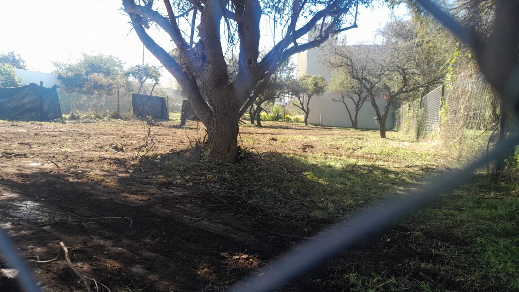 Lote Esquina Exclusivo de 508 m² en Villa Catalina - ¡Listo para Construir!
