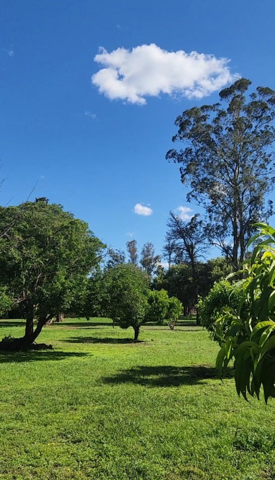 VENTA 7 HECTAREAS CON COSTA DE ARROYO CASCO DE ESTANCIA