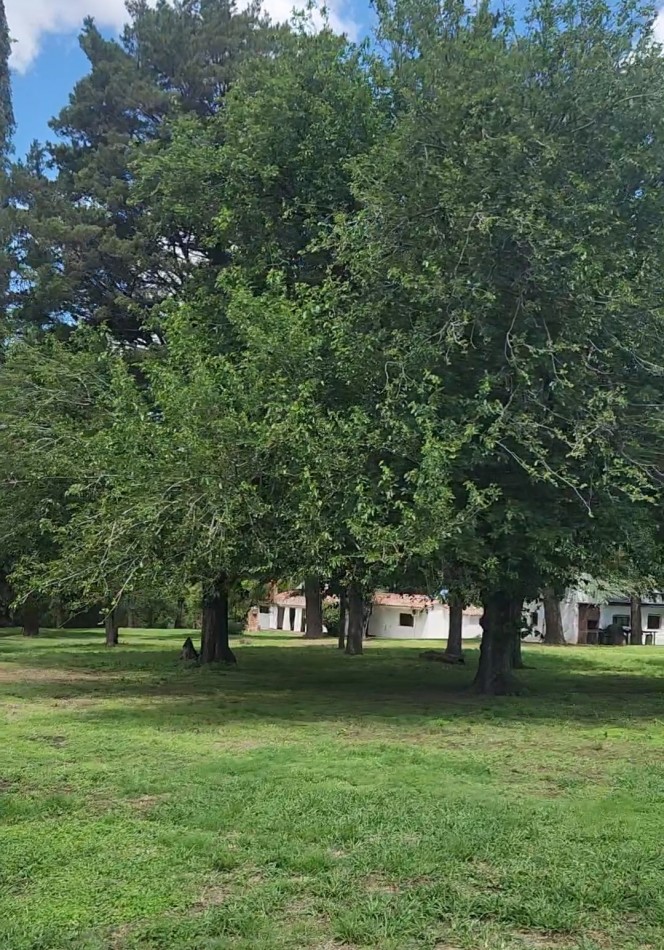 VENTA 7 HECTAREAS CON COSTA DE ARROYO CASCO DE ESTANCIA