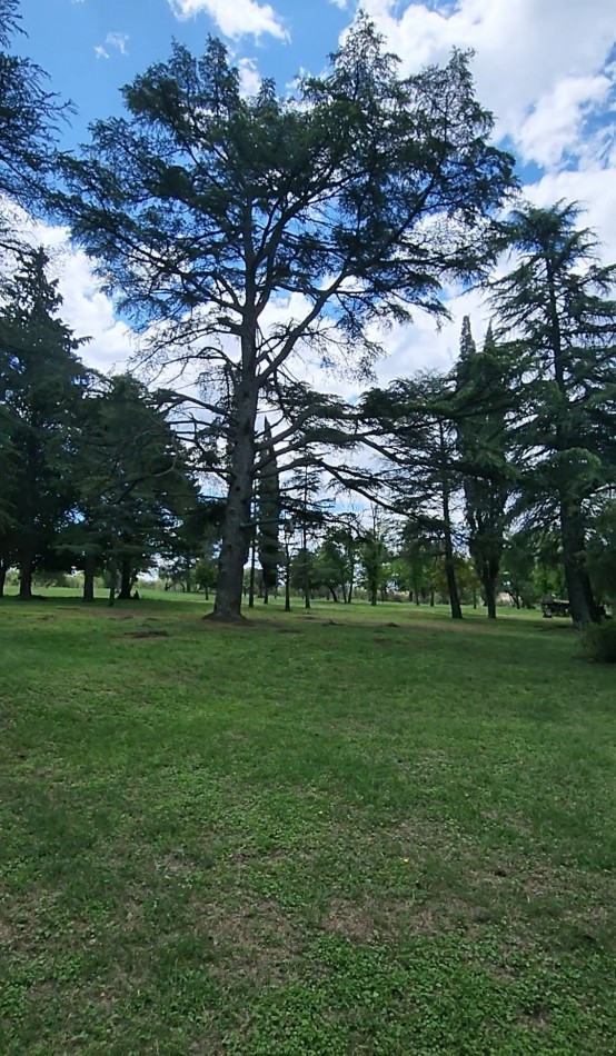 VENTA 7 HECTAREAS CON COSTA DE ARROYO CASCO DE ESTANCIA