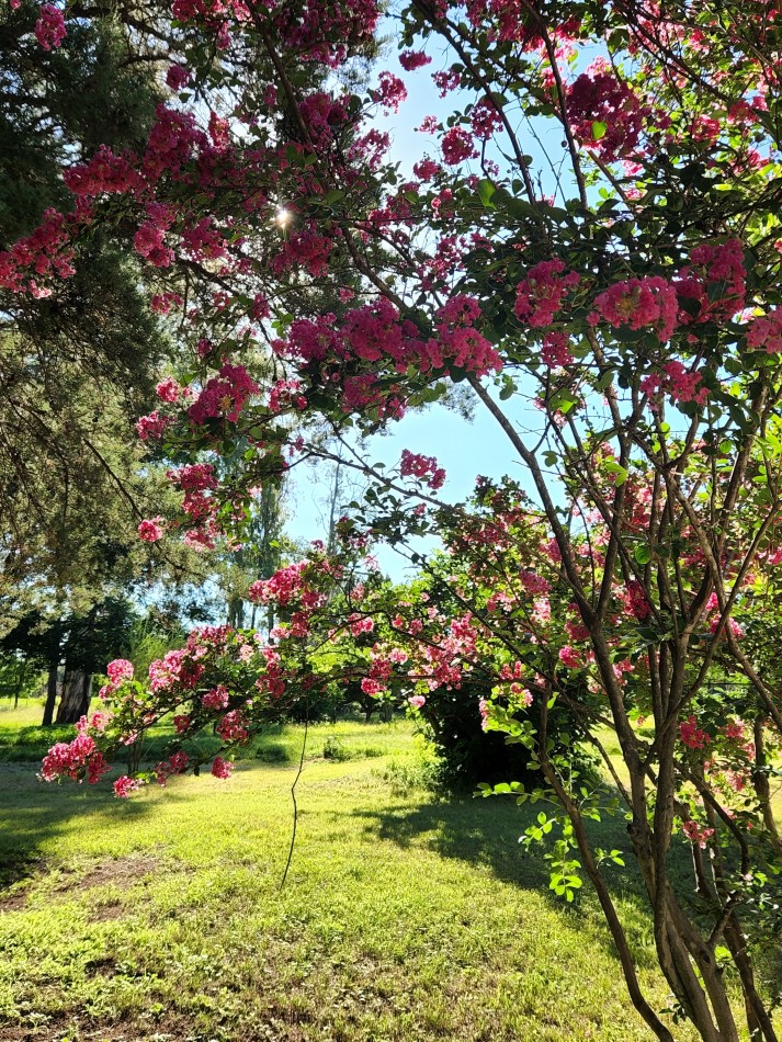VENTA 7 HECTAREAS CON COSTA DE ARROYO CASCO DE ESTANCIA